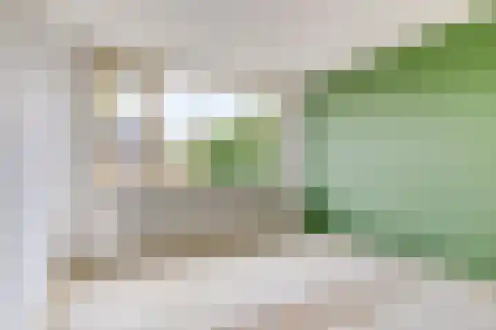 Tichelkamp 2 Burgum thumbnail 13