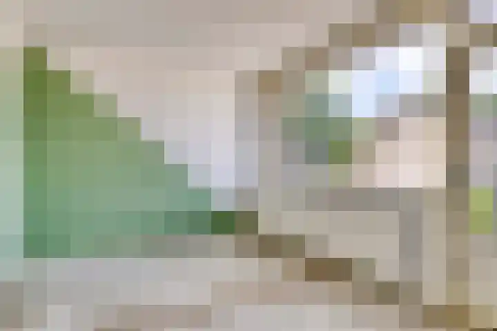 Tichelkamp 2 Burgum thumbnail 15