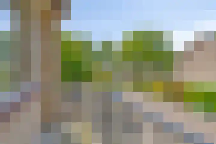 Tichelkamp 2 Burgum thumbnail 17