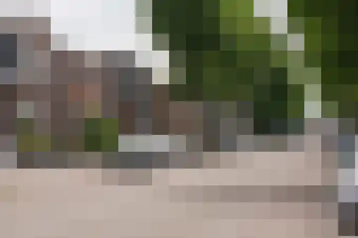 Tichelkamp 2 Burgum thumbnail 19