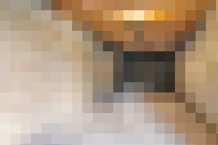 Tichelkamp 2 Burgum thumbnail 28
