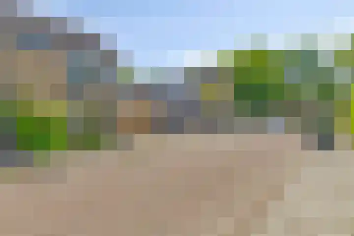Tichelkamp 2 Burgum thumbnail 30