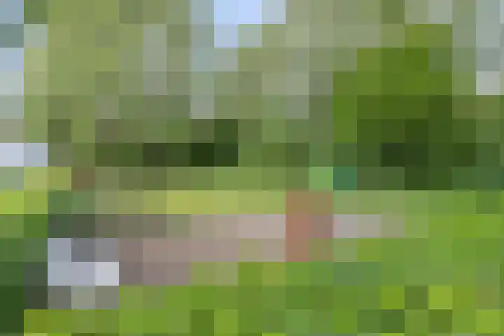Tichelkamp 2 Burgum thumbnail 32