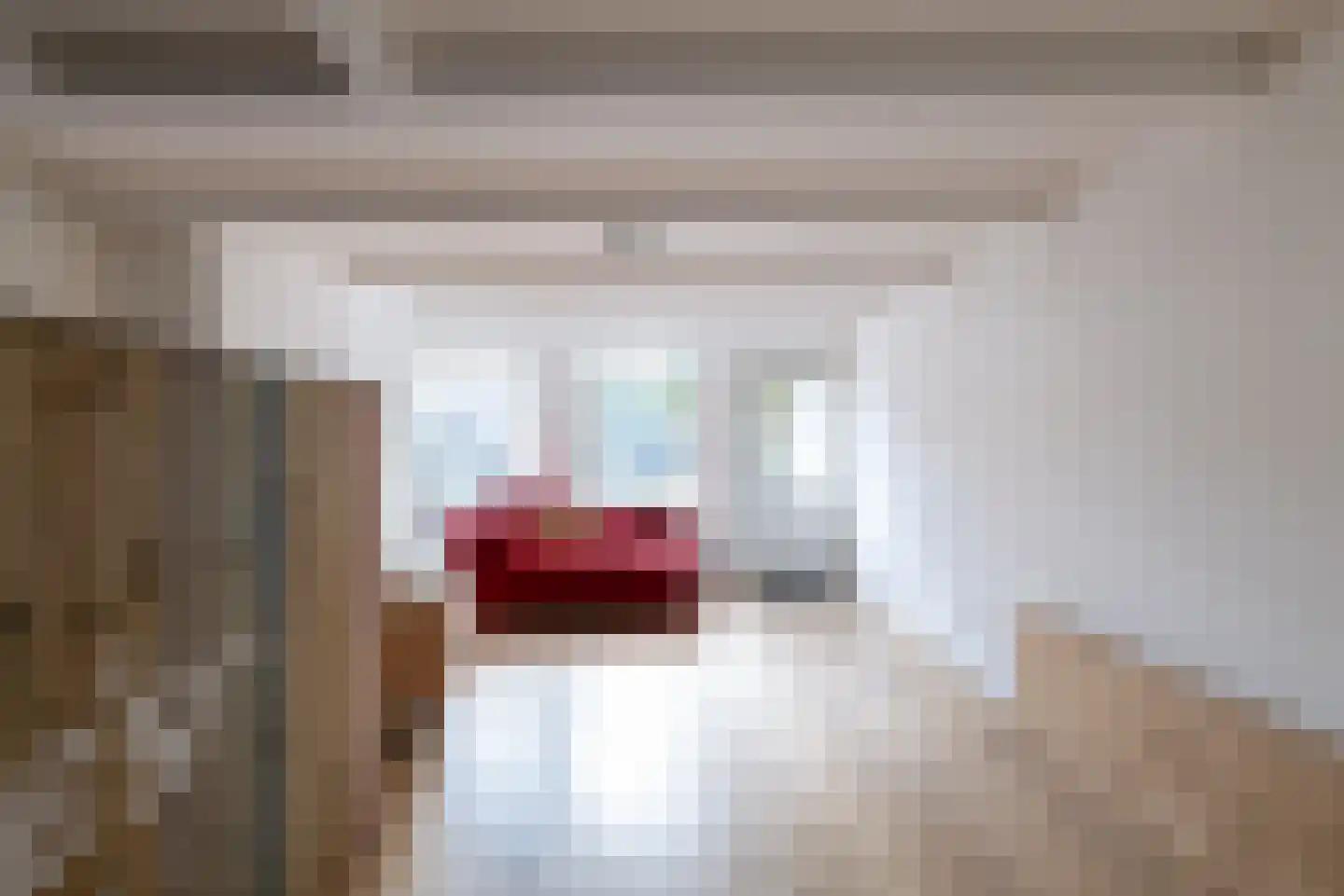 Tichelkamp 2 Burgum thumbnail 33