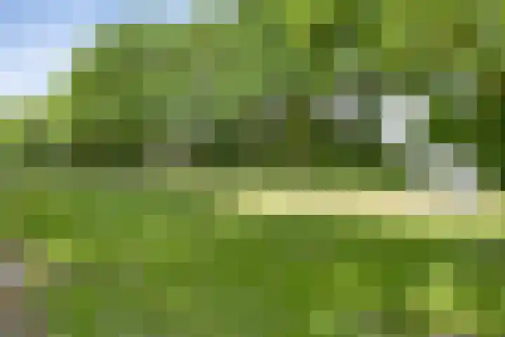 Tichelkamp 2 Burgum thumbnail 33