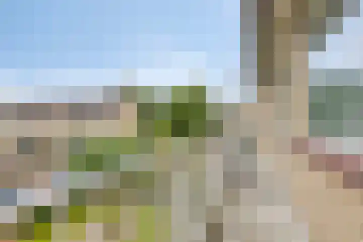 Tichelkamp 35 Burgum thumbnail 15