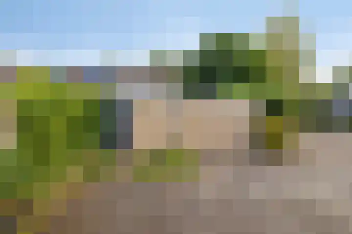 Tichelkamp 35 Burgum thumbnail 23