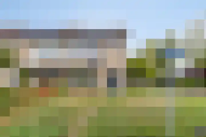 Tichelkamp 35 Burgum thumbnail 25
