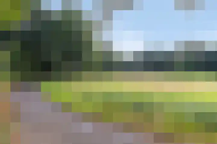 Tichelkamp 35 Burgum thumbnail 26