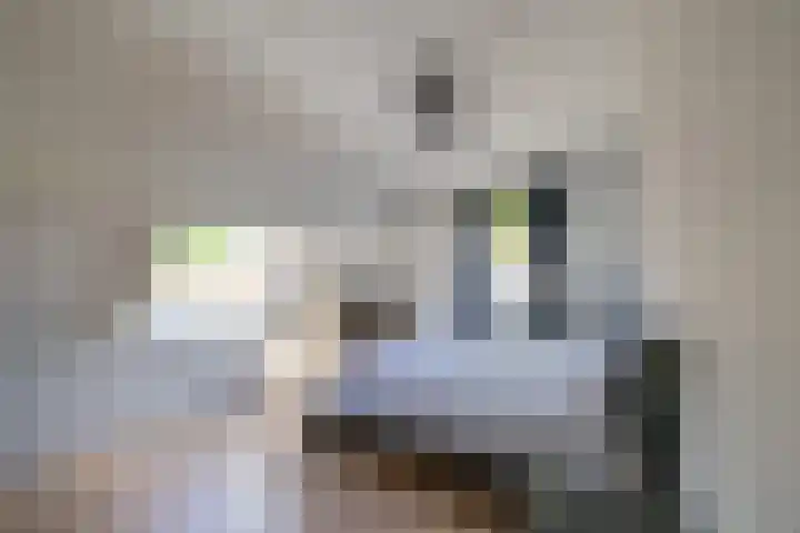 Tichelkampen 1 Assen thumbnail 23
