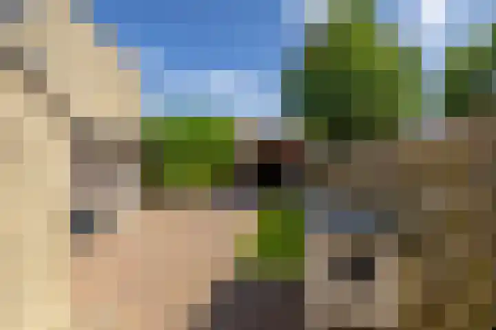 Tichelkampen 1 Assen thumbnail 36
