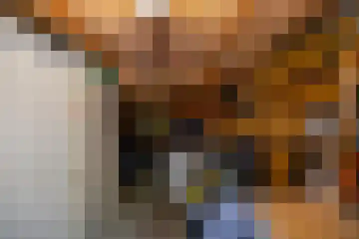 Tichelkampen 1 Assen thumbnail 39