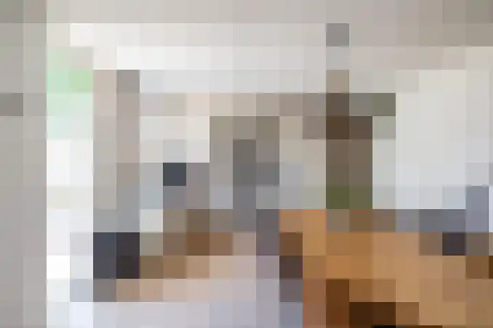 Tichelkampen 1 Assen thumbnail 4