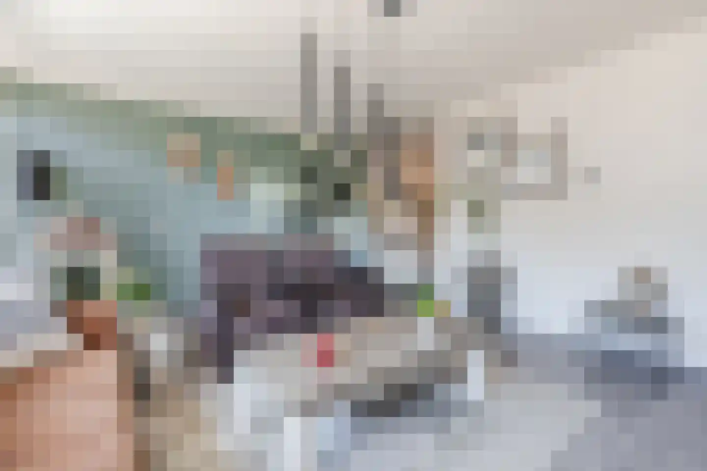 Tichelkampen 24 Assen thumbnail 21
