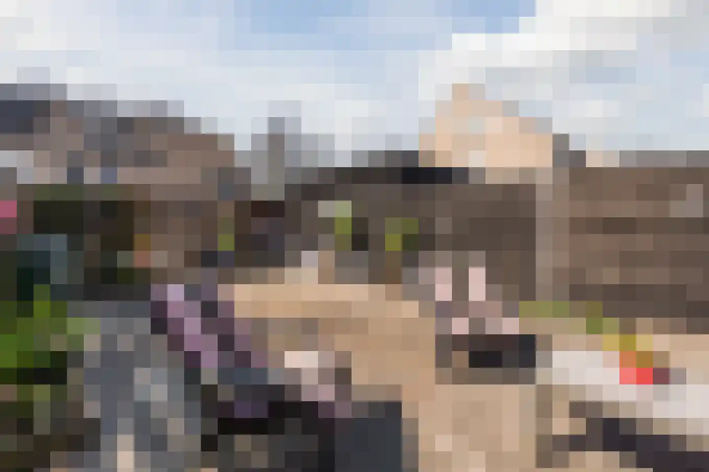 Tichelkampen 24 Assen thumbnail 46