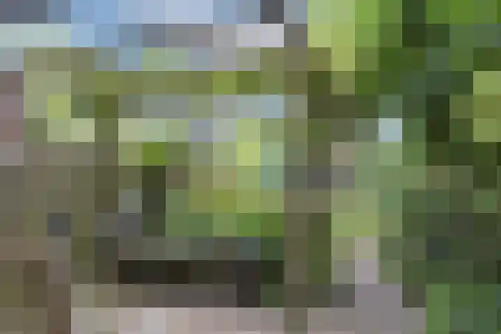 Tichelkuilen 118 Zutphen thumbnail 23