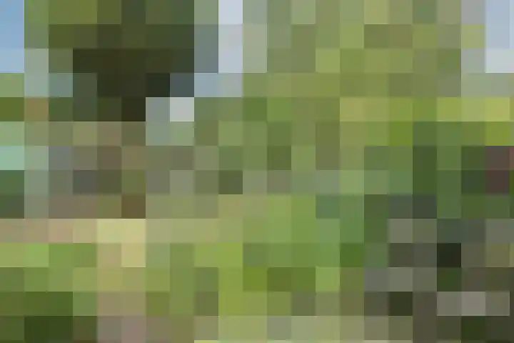 Tichelkuilen 118 Zutphen thumbnail 25