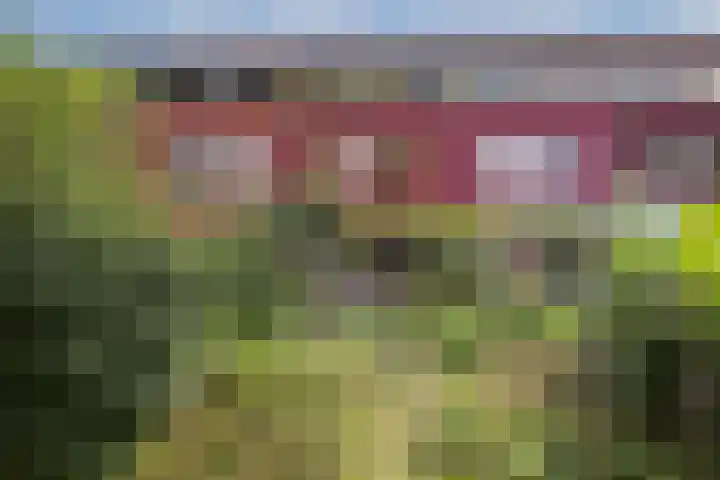 Tichelkuilen 118 Zutphen thumbnail 26