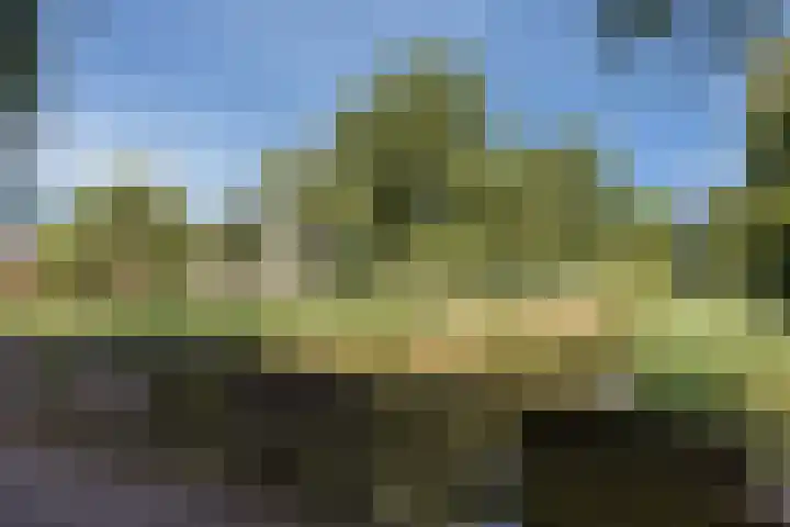 Tichelkuilen 118 Zutphen thumbnail 27