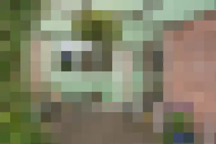 Tichelkuilen 118 Zutphen thumbnail 5