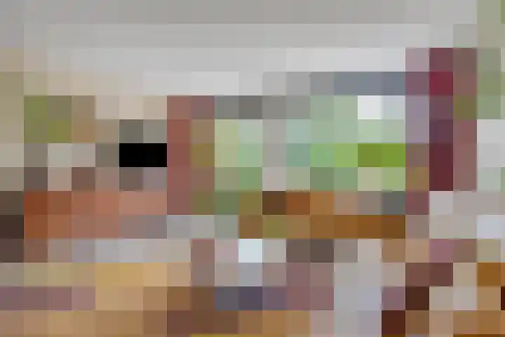 Tichelkuilen 131 Zutphen thumbnail 10