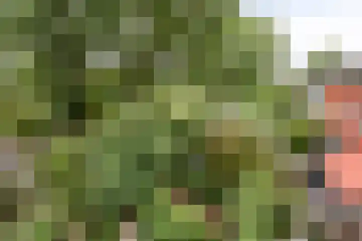 Tichelkuilen 131 Zutphen thumbnail 27