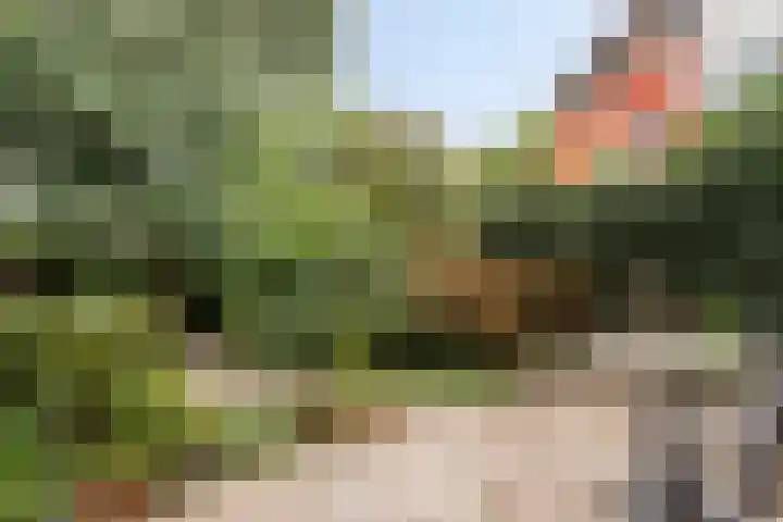 Tichelkuilen 131 Zutphen thumbnail 28