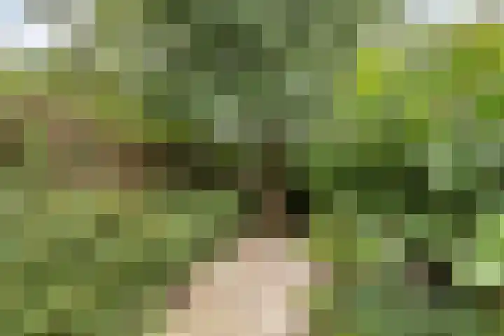 Tichelkuilen 131 Zutphen thumbnail 29