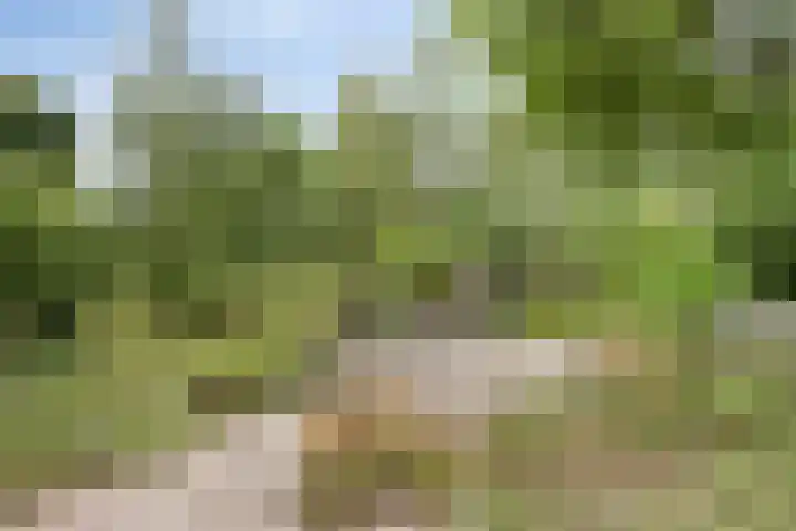 Tichelkuilen 131 Zutphen thumbnail 30