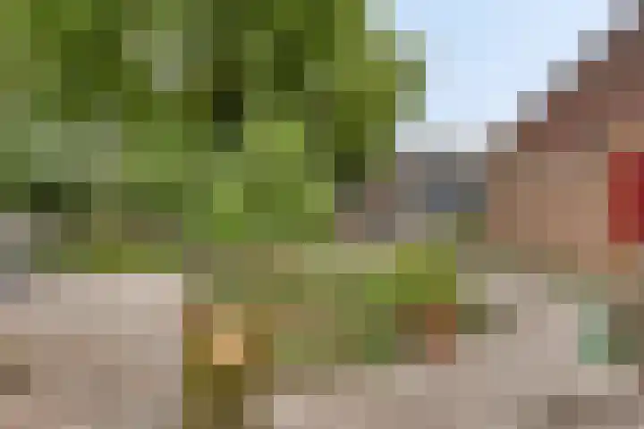Tichelkuilen 131 Zutphen thumbnail 31