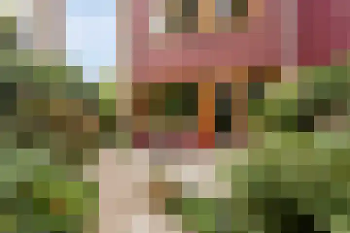 Tichelkuilen 131 Zutphen thumbnail 32