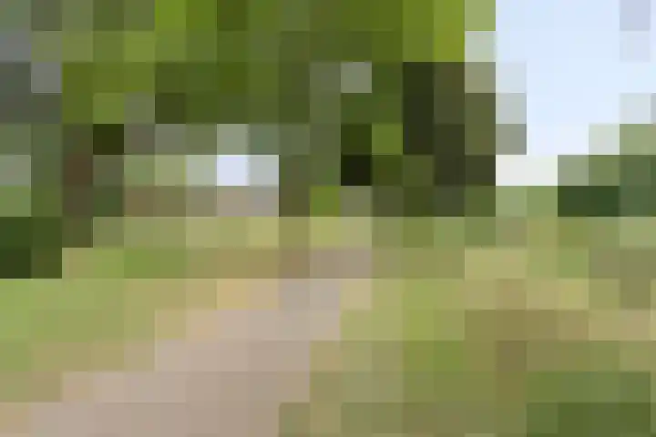 Tichelkuilen 131 Zutphen thumbnail 34