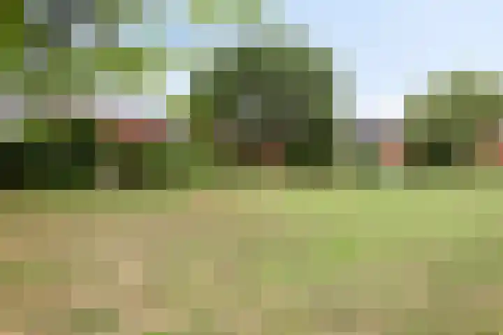 Tichelkuilen 131 Zutphen thumbnail 35
