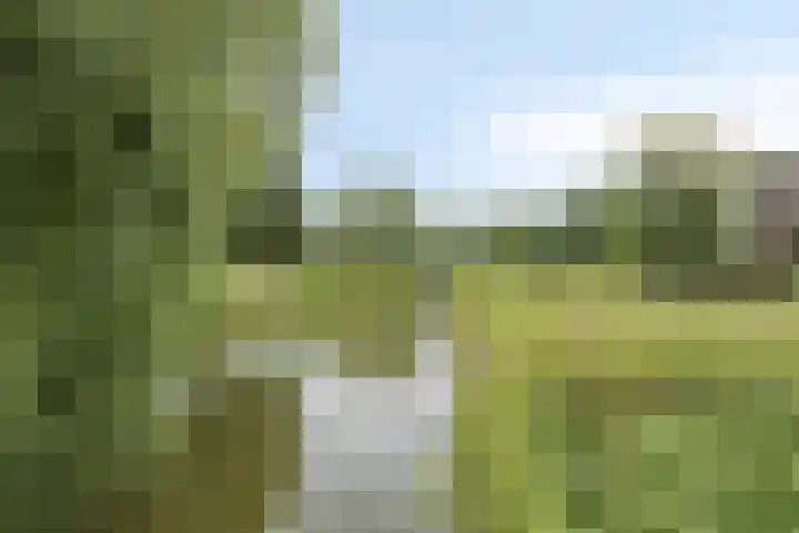Tichelkuilen 131 Zutphen thumbnail 36