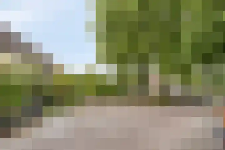 Tichelkuilen 131 Zutphen thumbnail 38