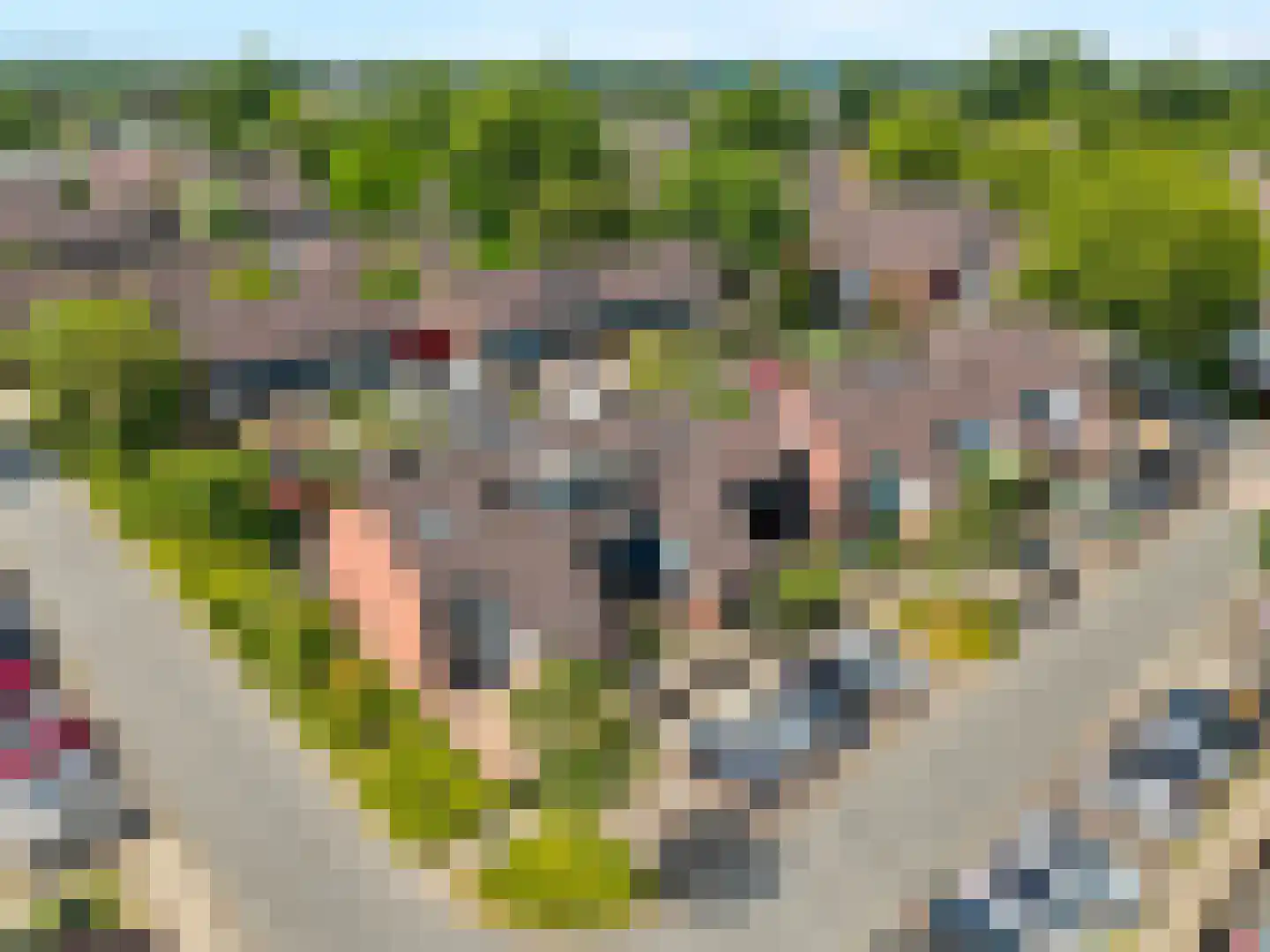 Tichelkuilen 164 Zutphen thumbnail 37