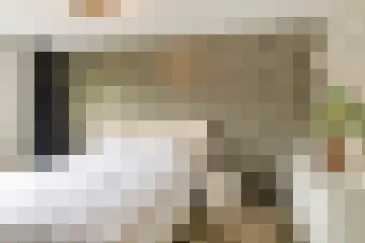 Tichelkuilen 176 Zutphen thumbnail 17