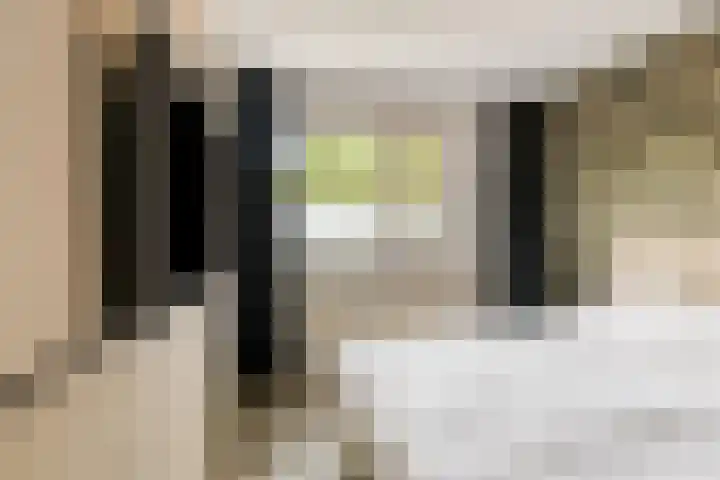 Tichelkuilen 176 Zutphen thumbnail 18
