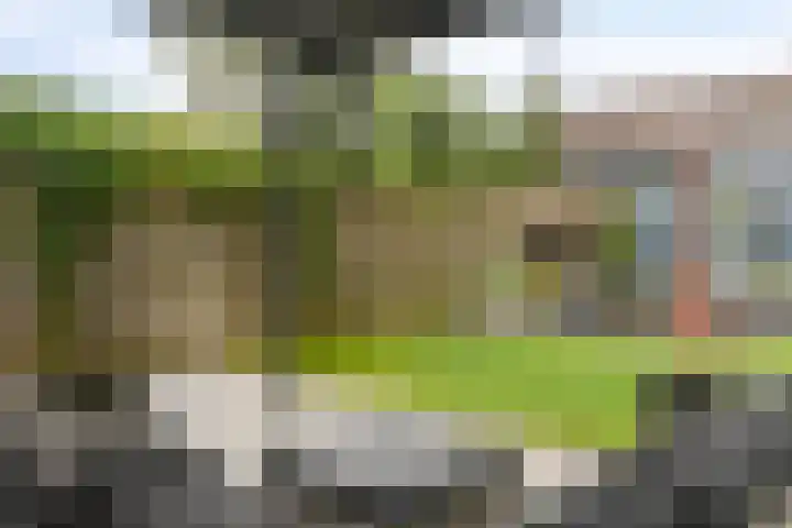 Tichelkuilen 176 Zutphen thumbnail 33