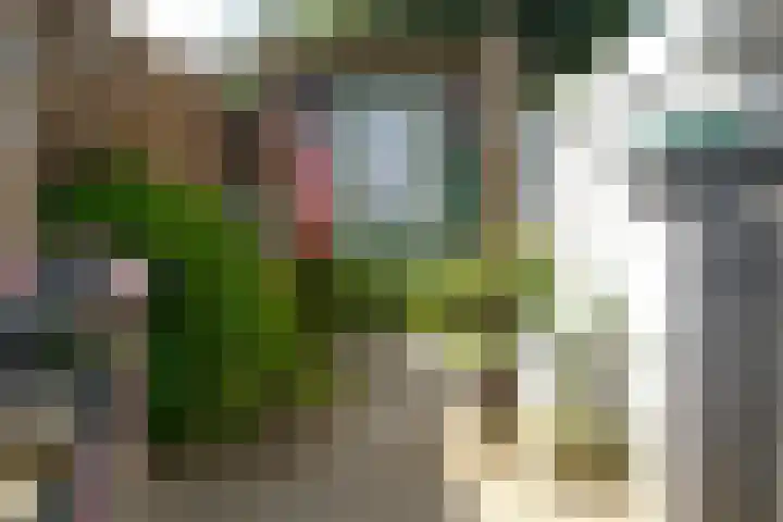 Tichelkuilen 180 Zutphen thumbnail 8