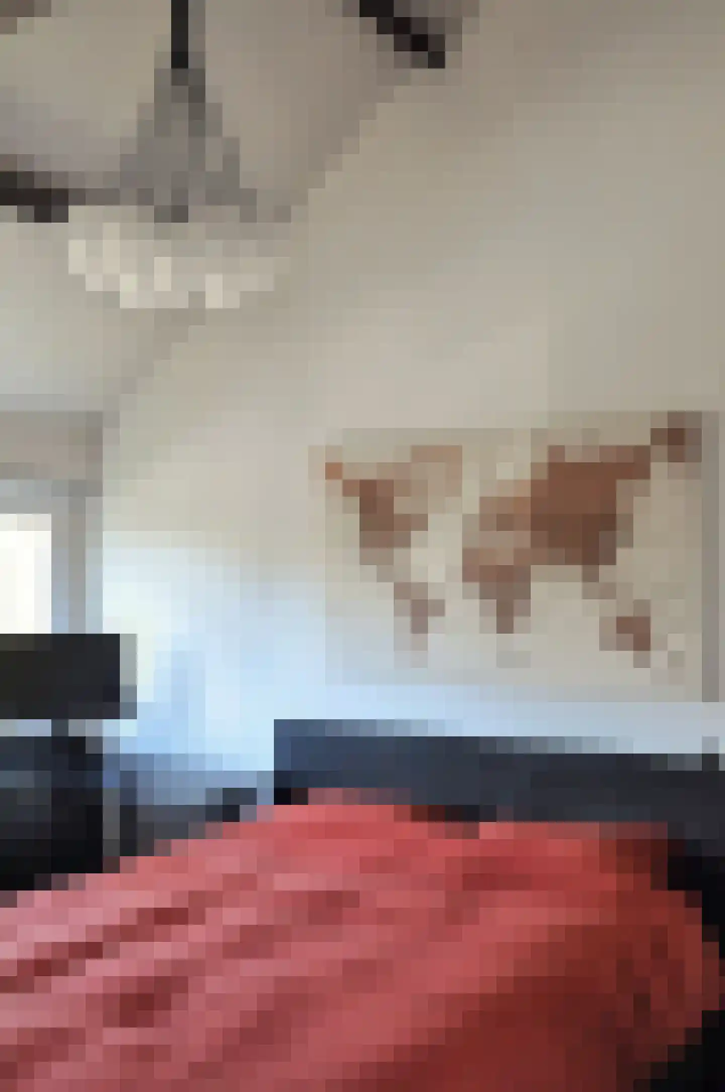 Tichelkuilen 21 Zutphen thumbnail 10