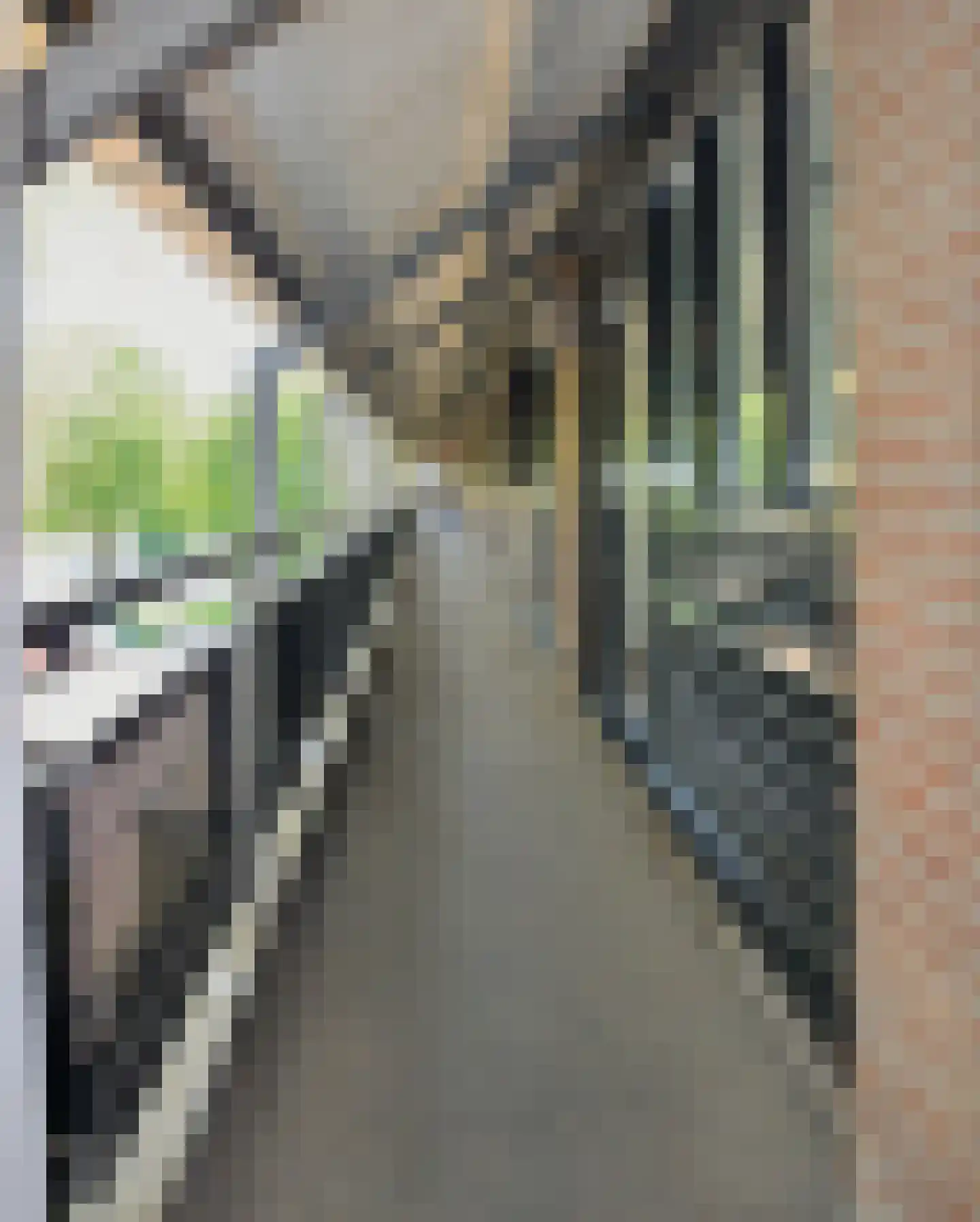 Tichelkuilen 21 Zutphen foto 2