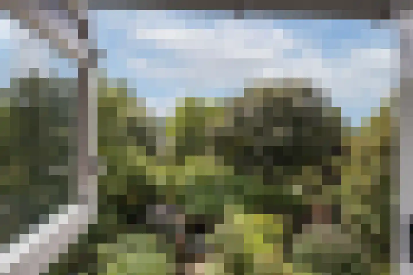 Tichelkuilen 215 Zutphen thumbnail 23