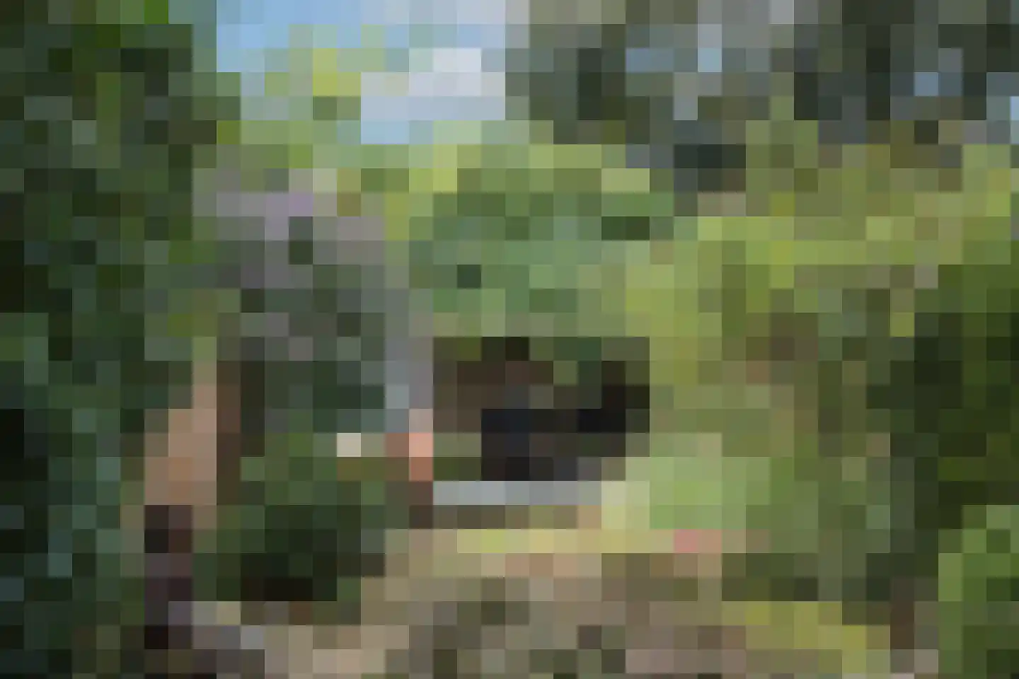 Tichelkuilen 215 Zutphen thumbnail 25
