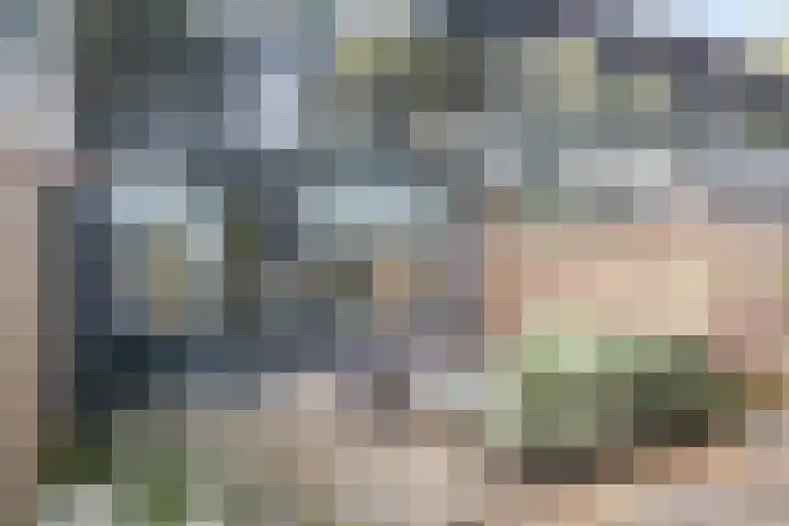 Tichelkuilen 225 Zutphen thumbnail 18