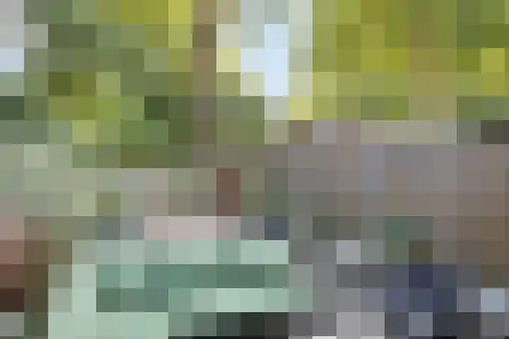 Tichelkuilen 225 Zutphen thumbnail 20