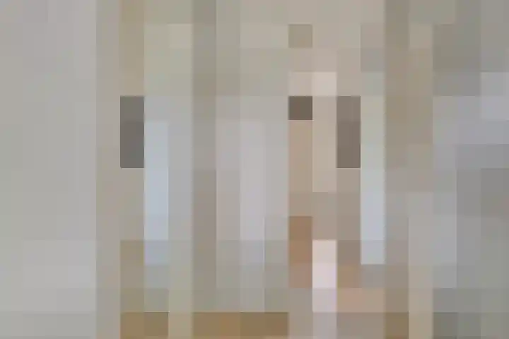 Tichelkuilen 225 Zutphen thumbnail 26