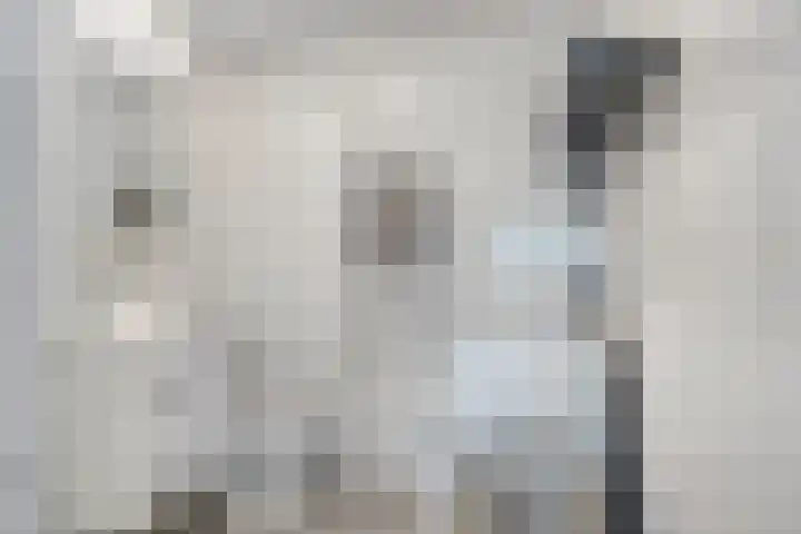 Tichelkuilen 225 Zutphen thumbnail 31