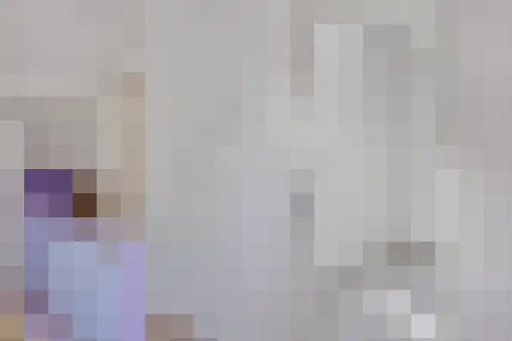 Tichelkuilen 225 Zutphen thumbnail 35