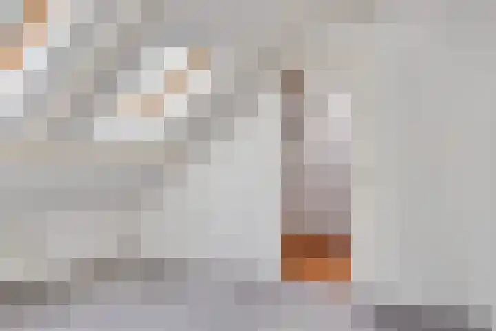 Tichelkuilen 225 Zutphen thumbnail 39